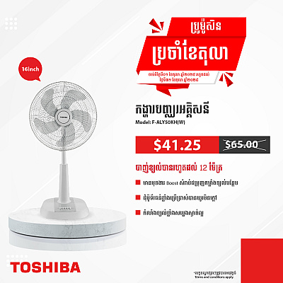 Toshiba Electric Fan 16 inch